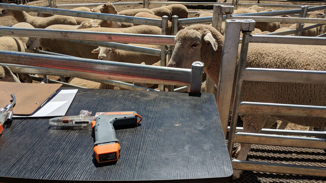 Our Story - The automed journey, from concept to reality – Automed