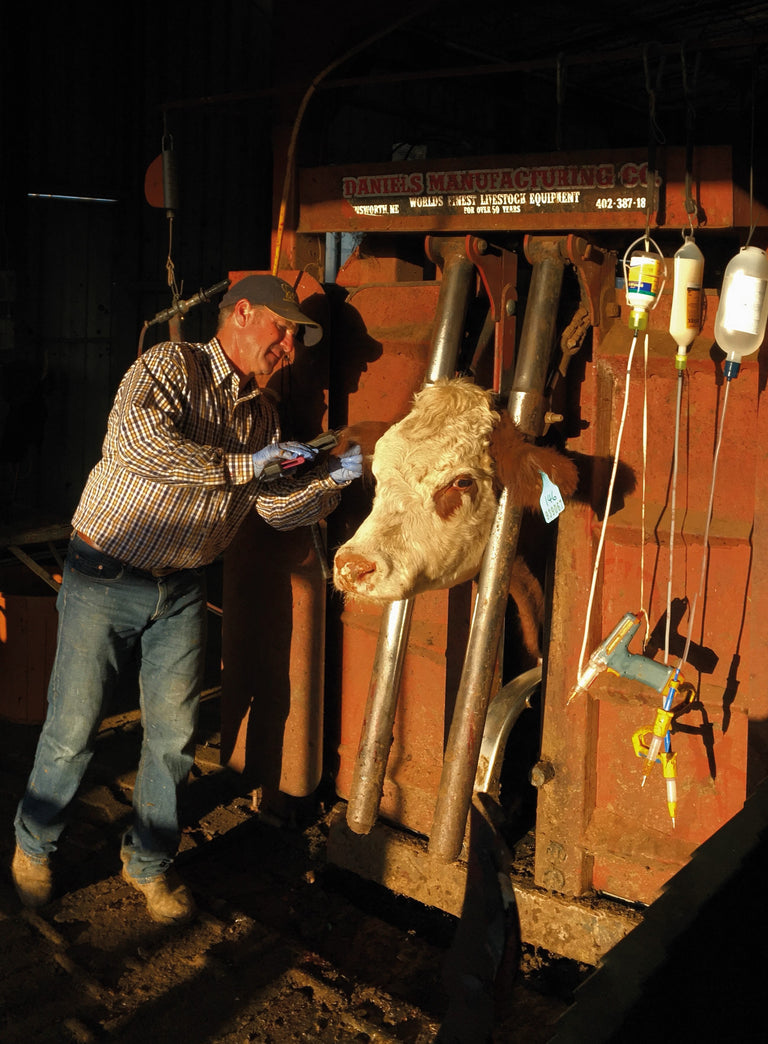 Our Story - The automed journey, from concept to reality – Automed